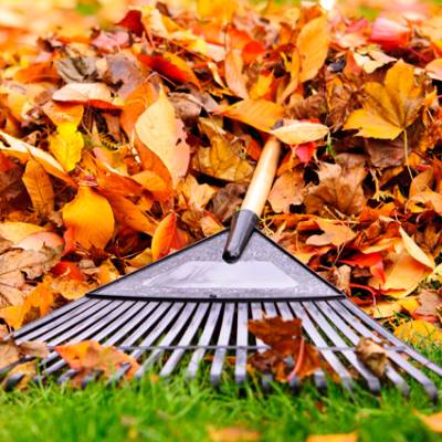 LAWN CARE SERVICE